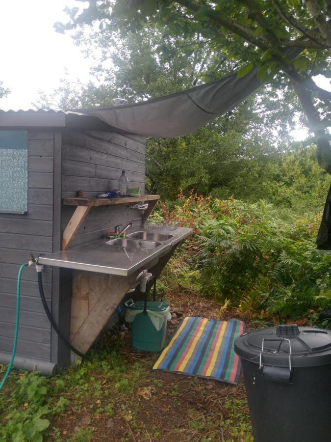 ホテル Blackberry Patch Pontyates エクステリア 写真